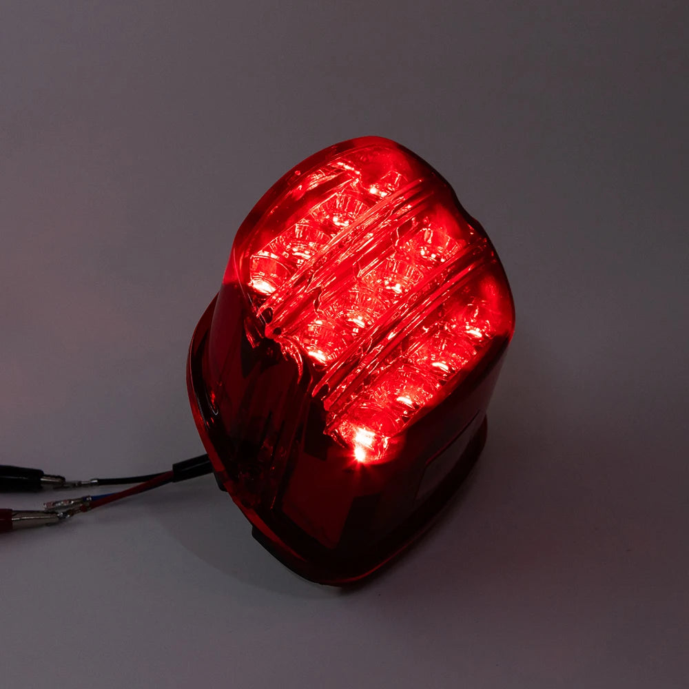 Motorcycle LED Taillight - Rear Brake Light for Harley Sportster & Dyna