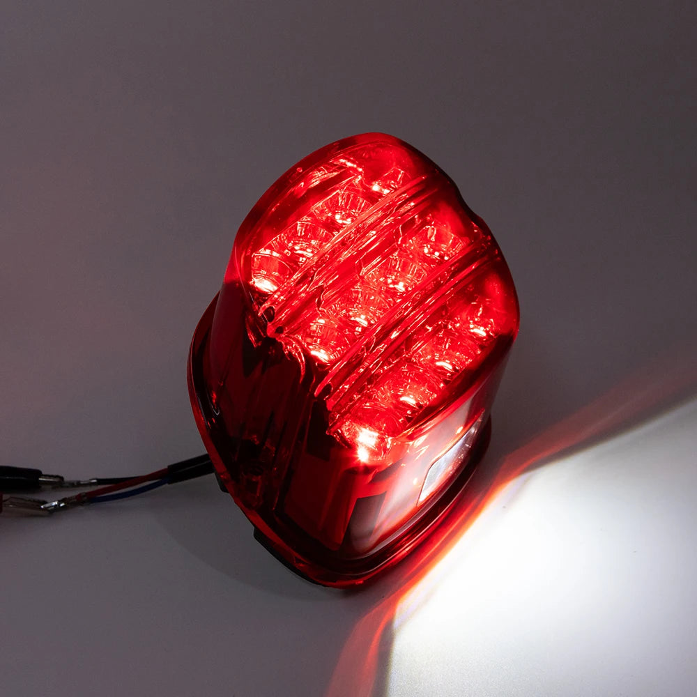 Motorcycle LED Taillight - Rear Brake Light for Harley Sportster & Dyna